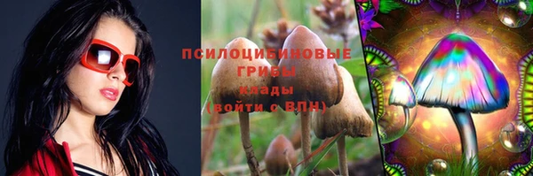 прущие крисы Алзамай