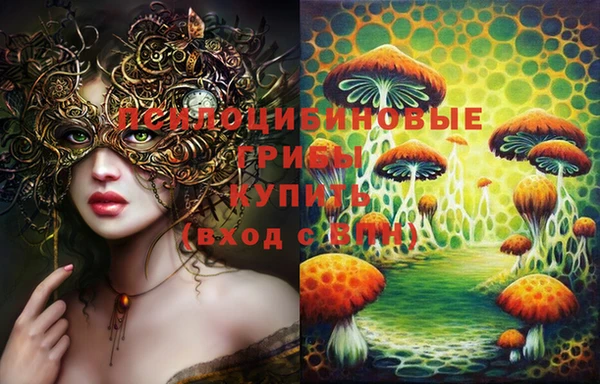 молекула духа Алексеевка