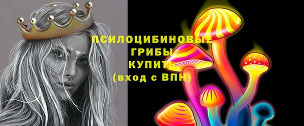 молекула духа Алексеевка