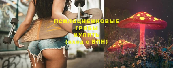 молекула духа Алексеевка