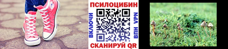 наркотики  Солигалич  Галлюциногенные грибы мухоморы 