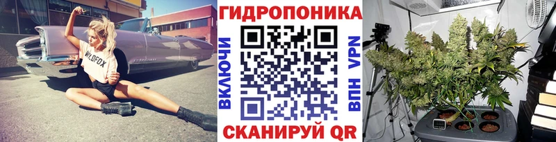 МАРИХУАНА конопля  Солигалич 